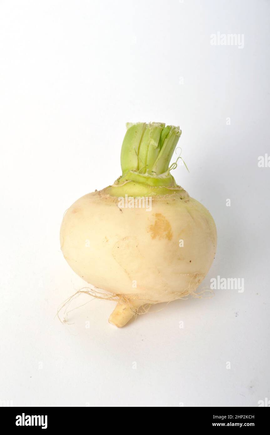Young turnips on a white background Stock Photo Alamy