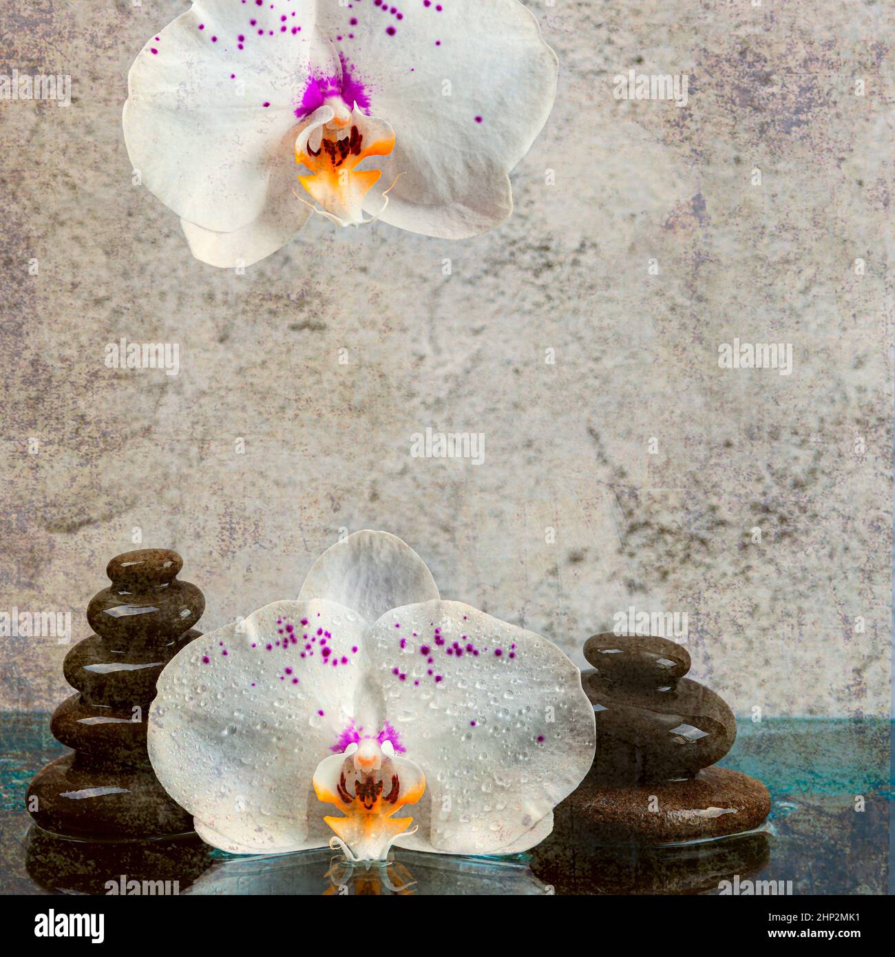 The concept of a spa massage with stones with an orchid flower on a ...