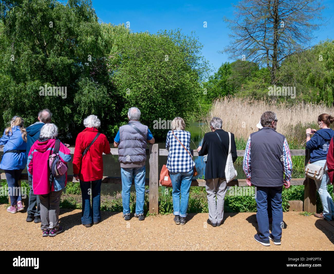 London, England, United Kingdom - May 13, 2019: Tourists watching the beautiful blooming nature in Isabella Plantation in the spring season Stock Photo