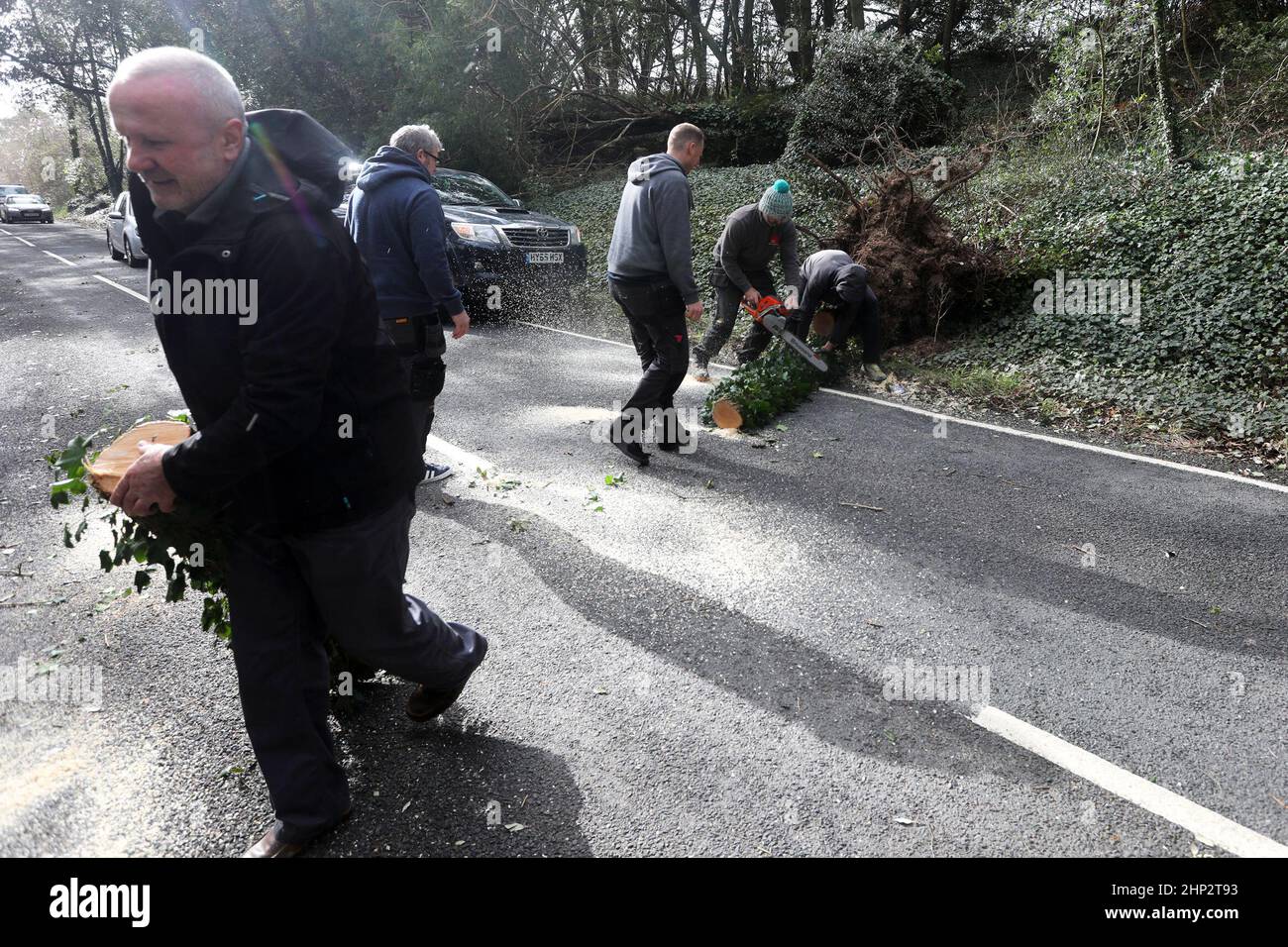 Chichester, West Sussex, UK. Tree down on Kennel Hill, Goodwood due to Storm Eunice. Members of the public in queueing traffic pictured taking action and removing it to open up the road thanks to Steve Christopher from NSF Solutions Ltd. Credit: Sam Stephenson/Alamy Live News Stock Photo