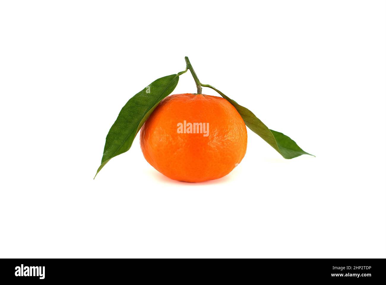 Clementines, tangerines or mandarin orange fruits with green leaves