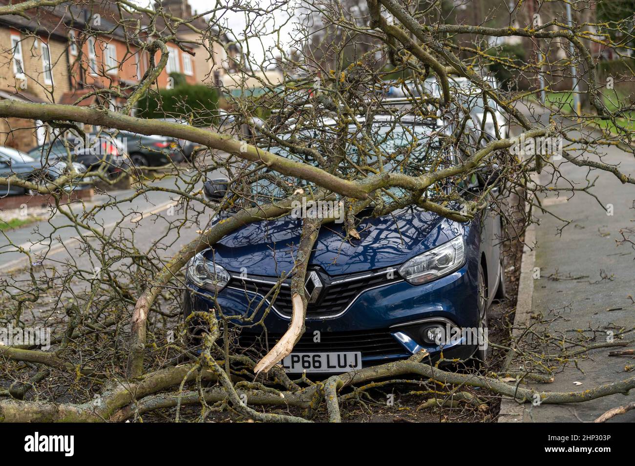 Brentwood, UK. 18th Feb, 2022. Brentwood Essex 18th Feb 2022 UK Weather