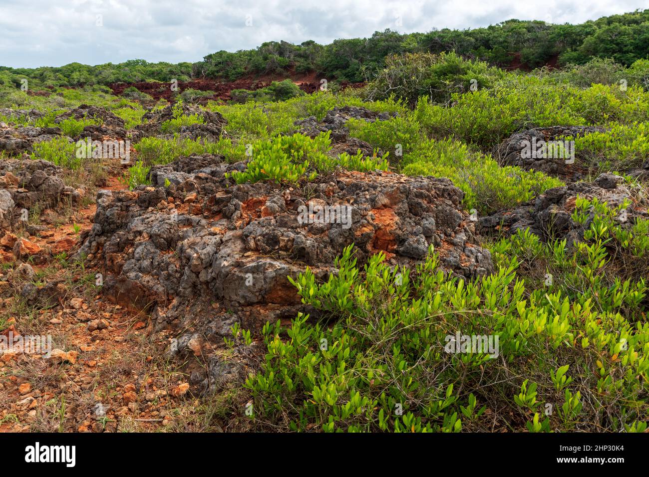 Sedimentary Formations Hi Res Stock Photography And Images Alamy