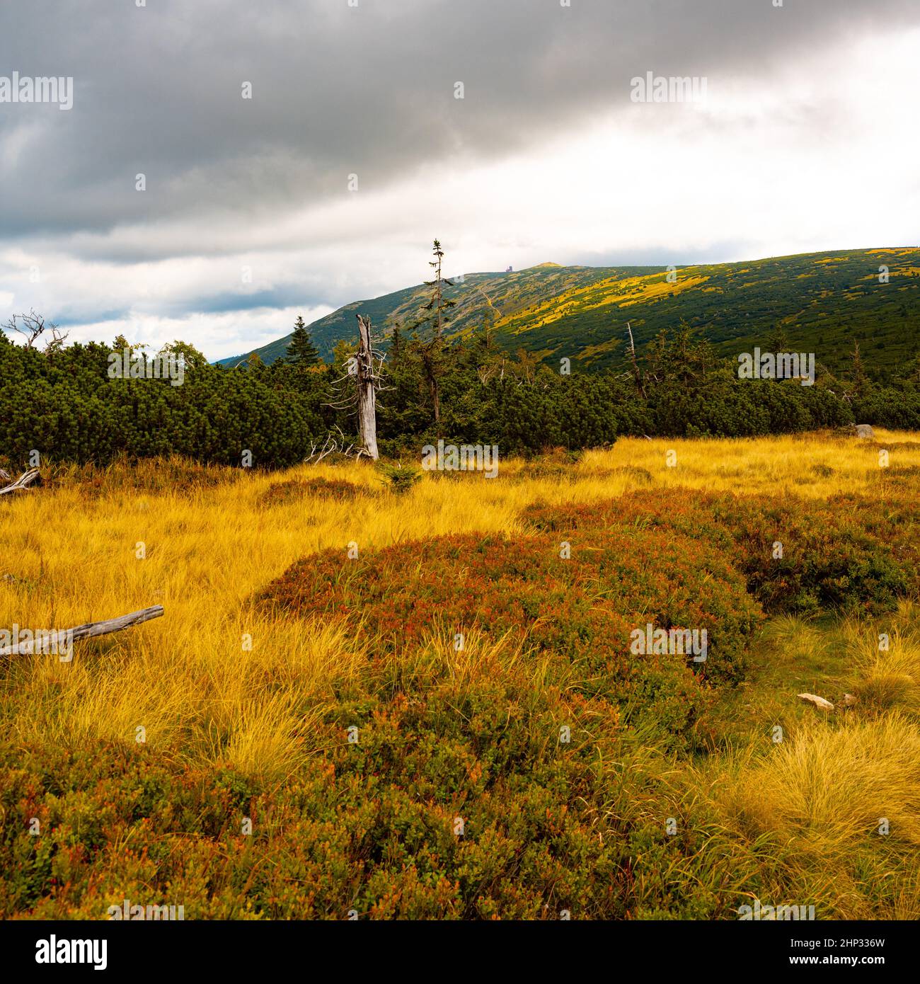 Giant Mountains (Karkonosze) autumn landscape Stock Photo