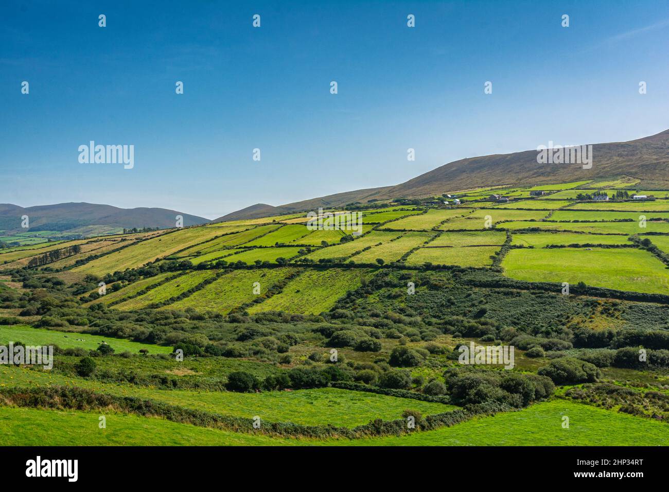 View of the fields from the N86 road on the way to Dingle, South West Ireland Stock Photo