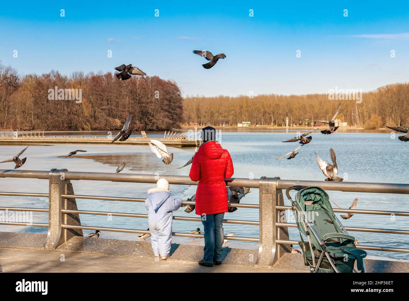 A mother and a small child are feeding birds (pigeons) on the lake embankment. Stock Photo