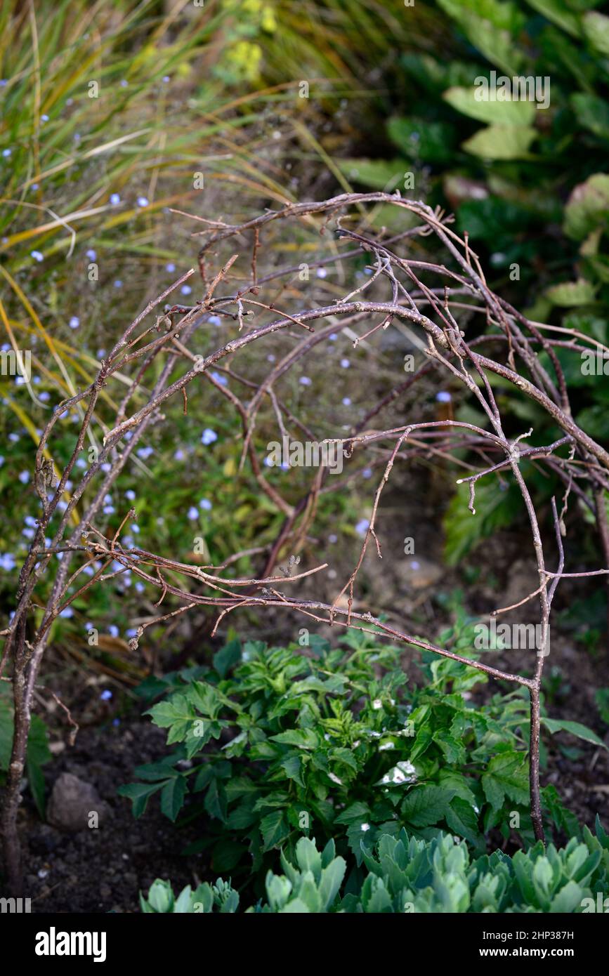 twig frame,twig frames,twig plant support,twig plant supports,twigs