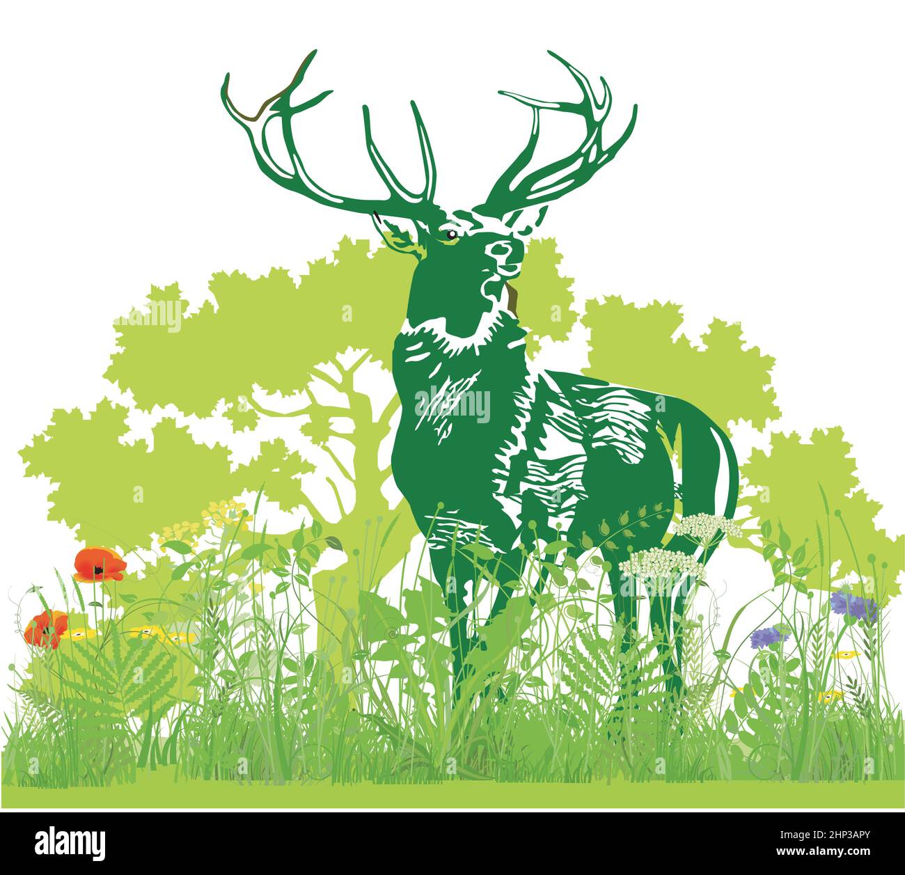 Deer in the meadow illustration Stock Vector