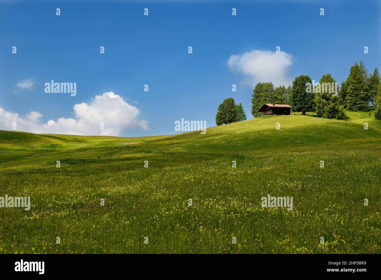 A small alpine hut on a gently sloping green meadow with a bright blue sky and a few fleecy clouds. Stock Photo