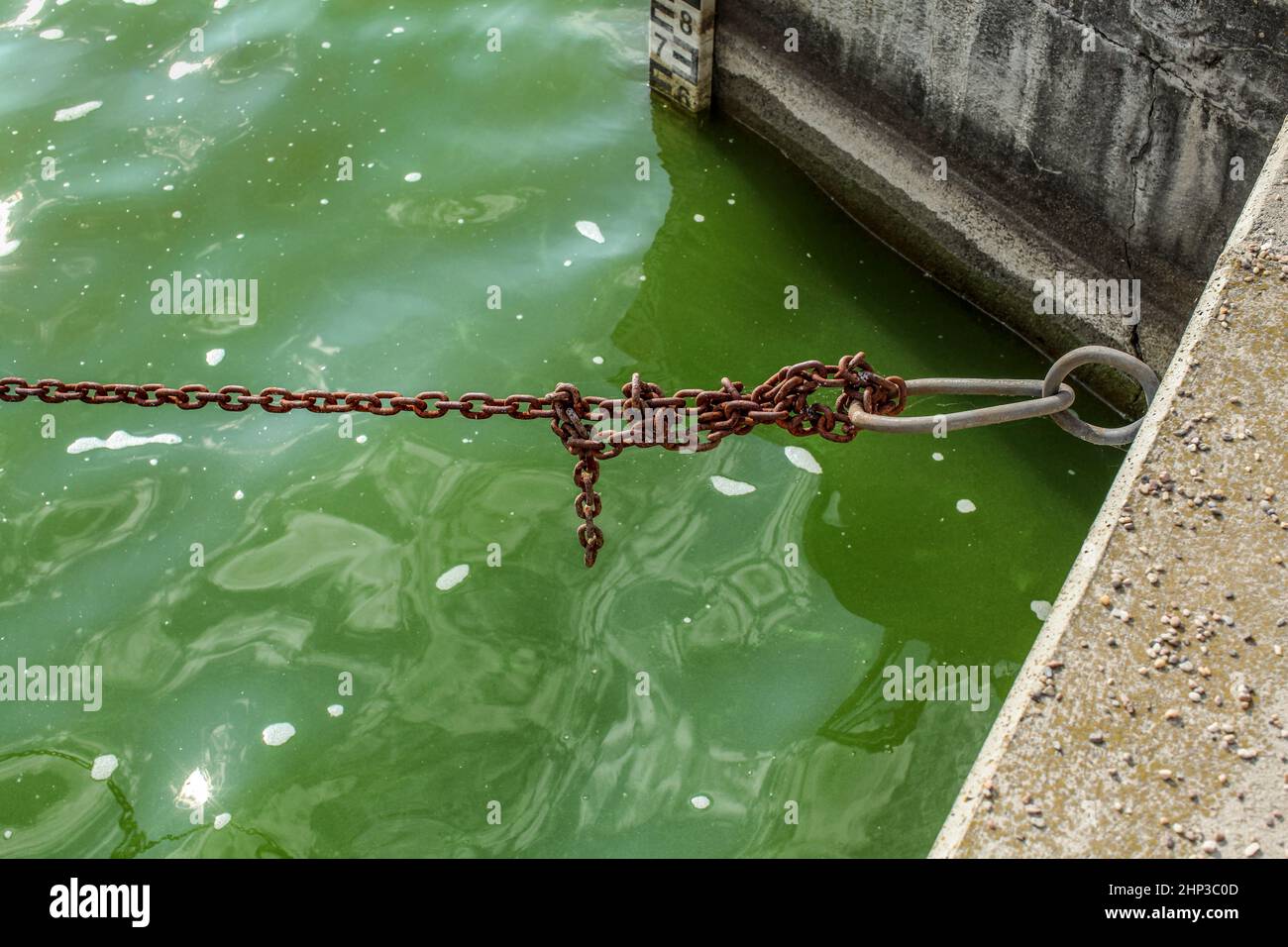 Old rusty boat chain, over green water at the dock, with sea level indicator in background. Stock Photo