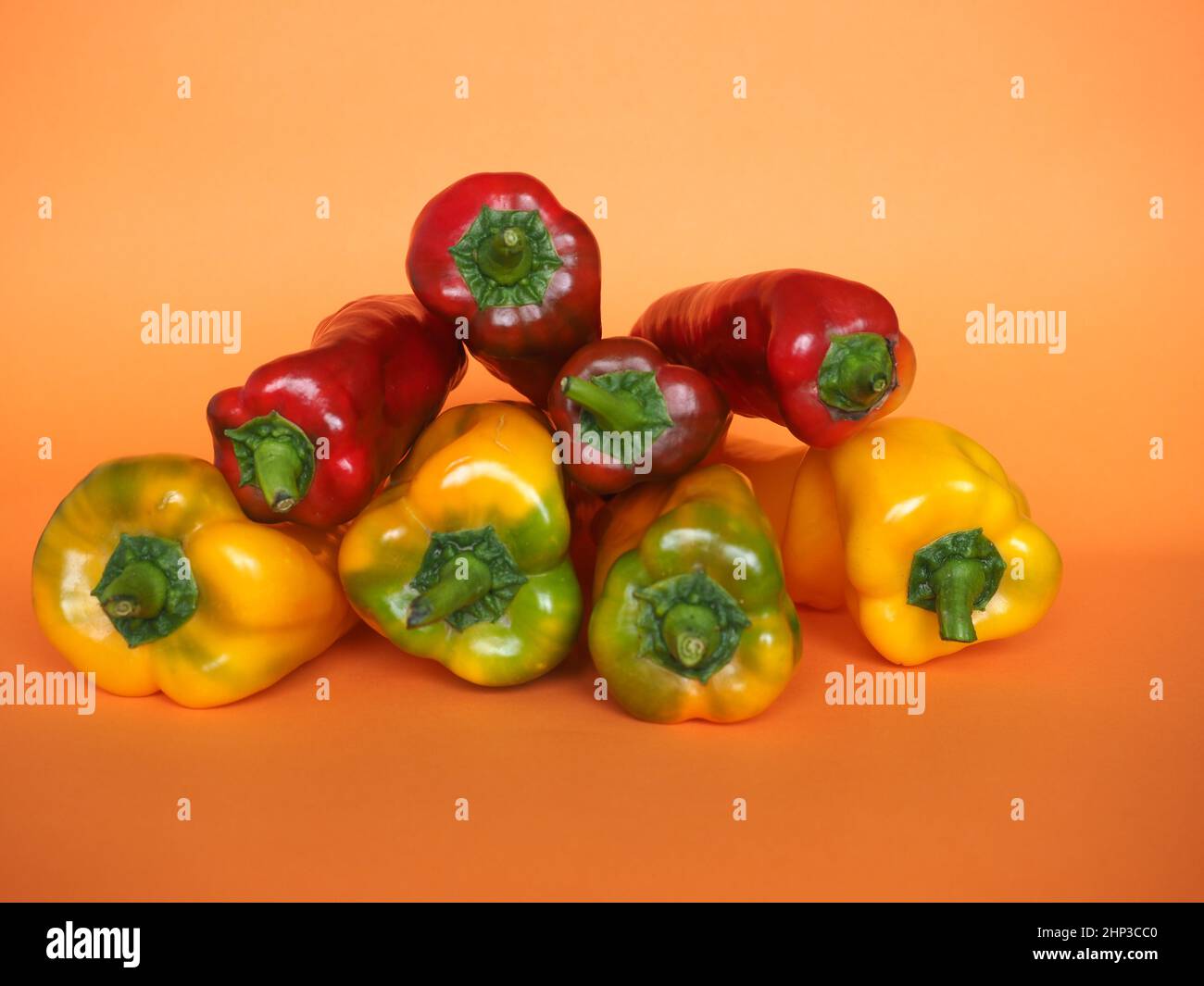 red and yellow peppers (scientific name Capsicum aka bell peppers