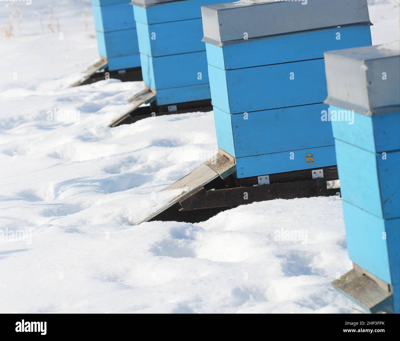 Winter country scene with beehives covered with snow Stock Photo