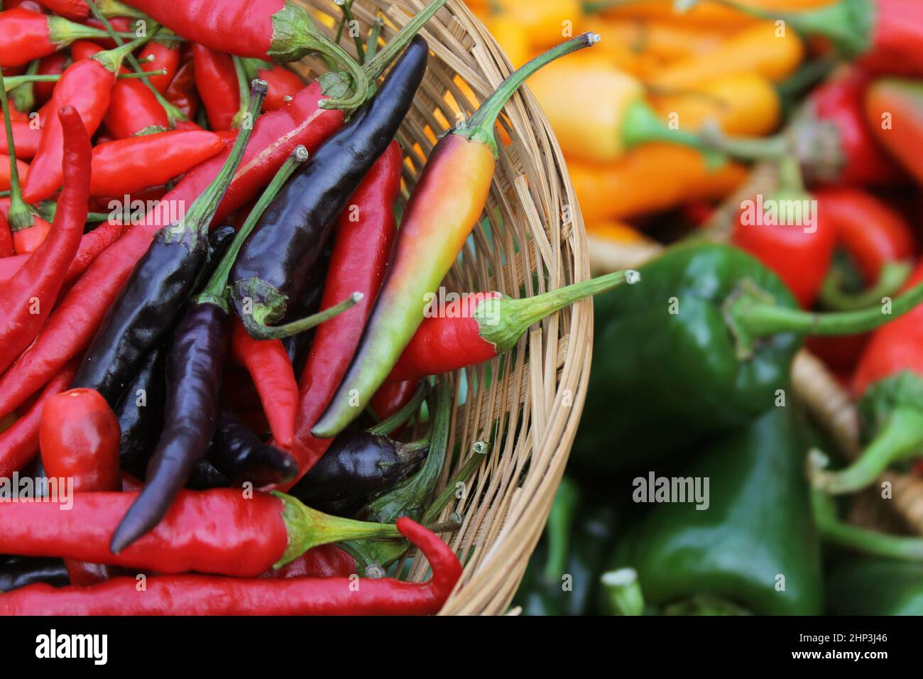 Colorful Basket of Peppers at a Farmers Market Stock Photo - Alamy