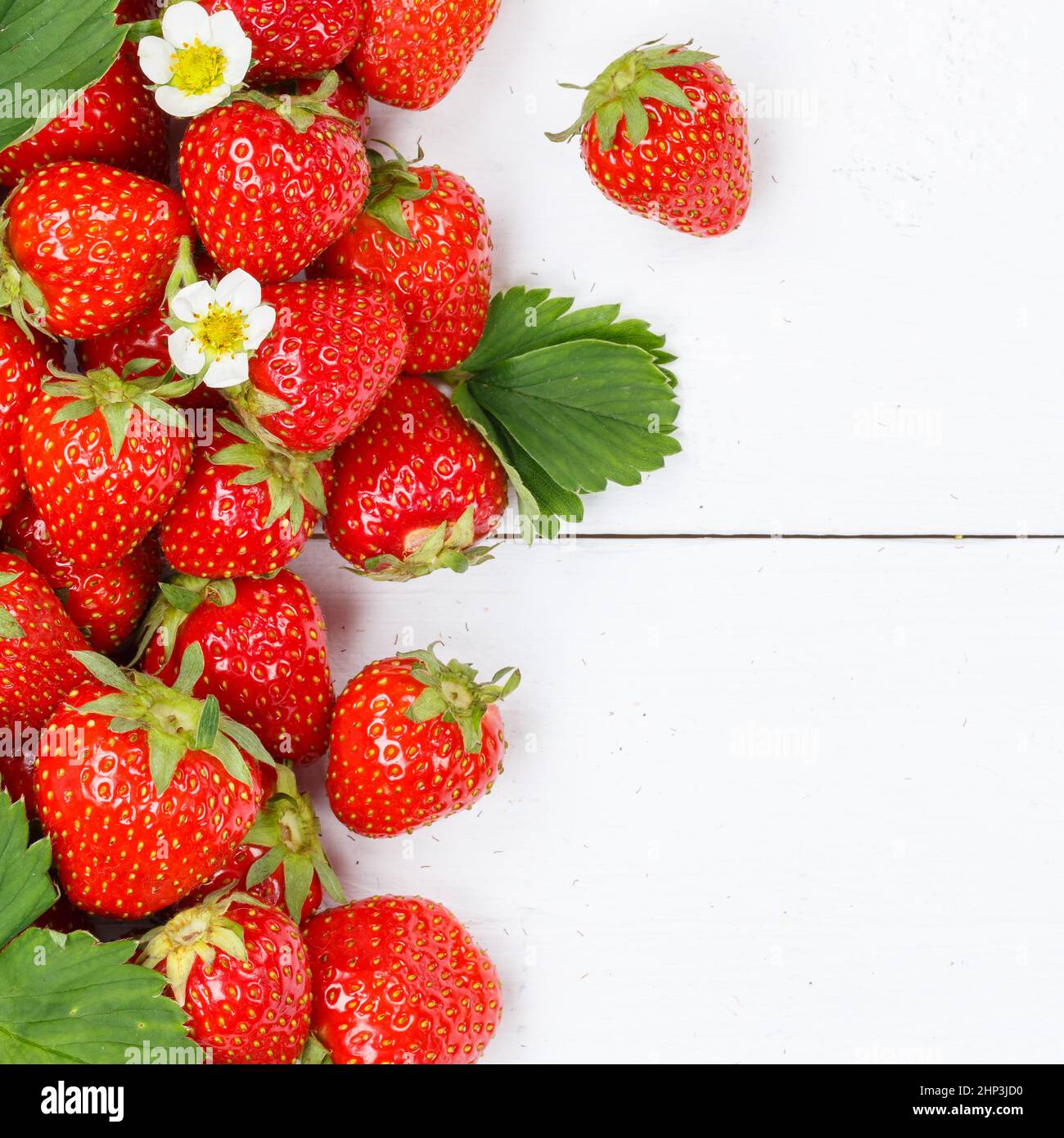 Strawberries berries fruits strawberry berry fruit with copyspace copy space on a wooden board square summer Stock Photo