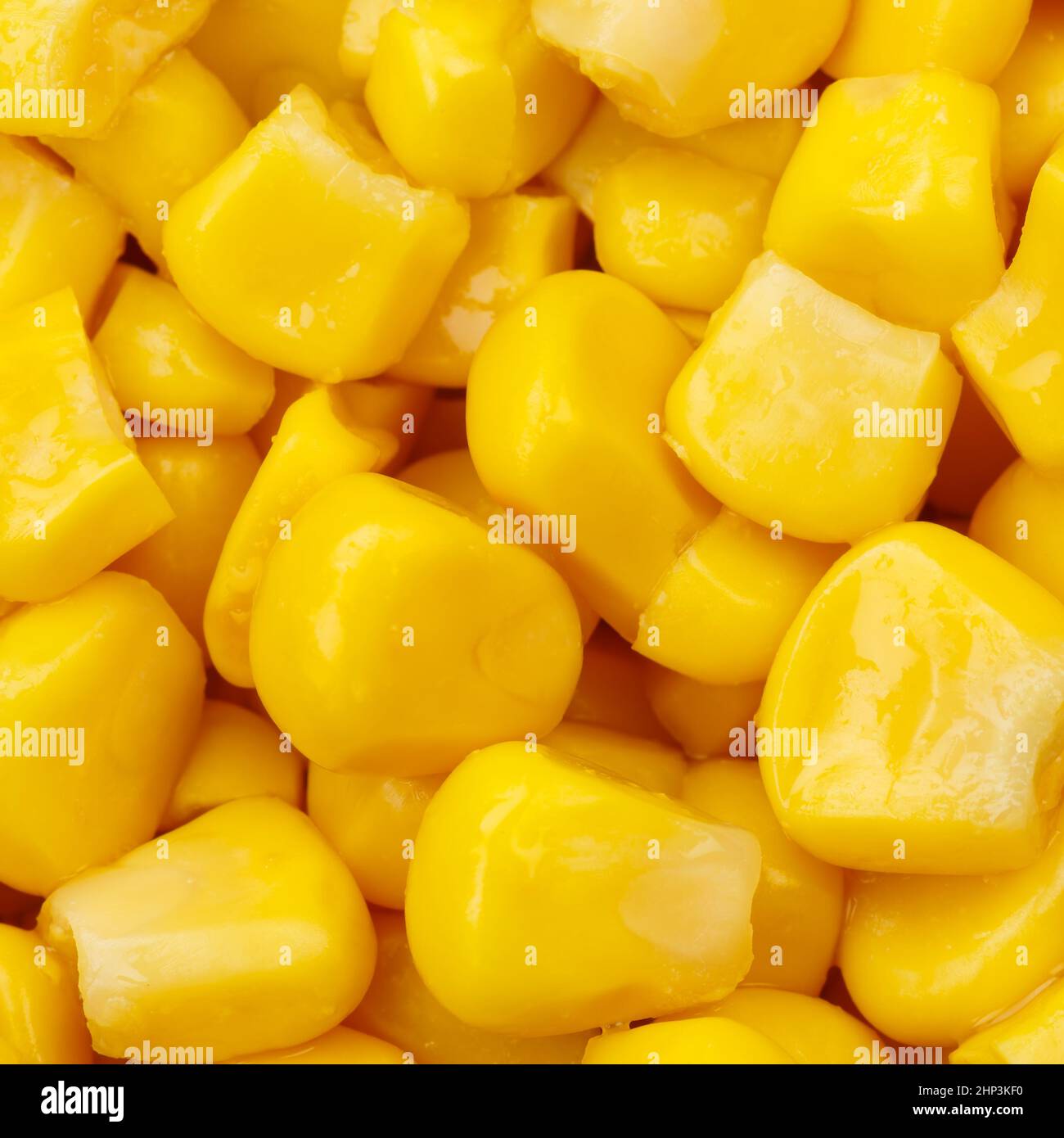 Corn background vegetable vegetables from above square top view Stock Photo