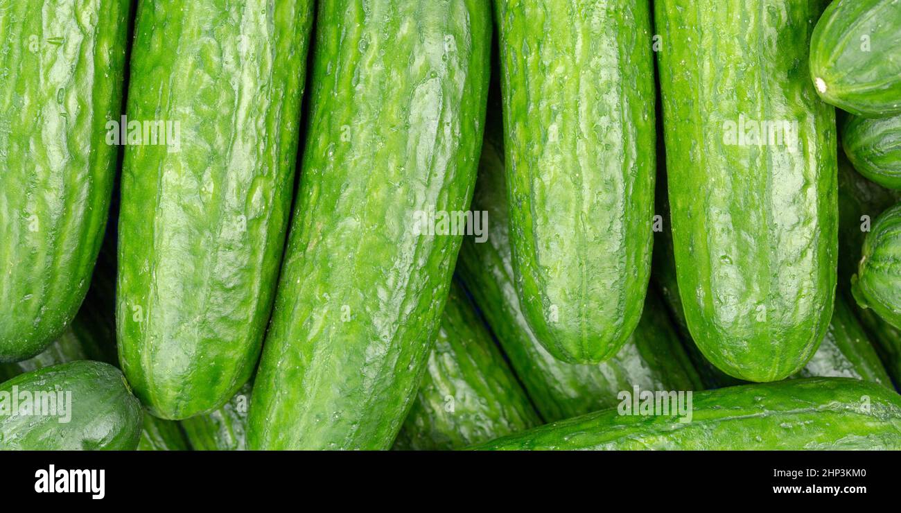 Cucumber cucumbers background vegetable vegetables from above panorama top view Stock Photo