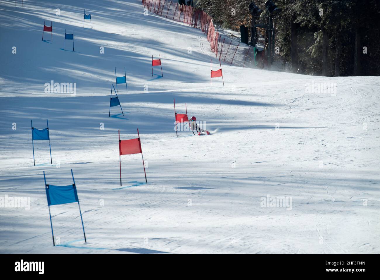Young female ski racer on course during the 2022 Macomber Giant Slalom ski race at Crotched Mountain Ski area in Bennington, New Hampshire, USA. Stock Photo