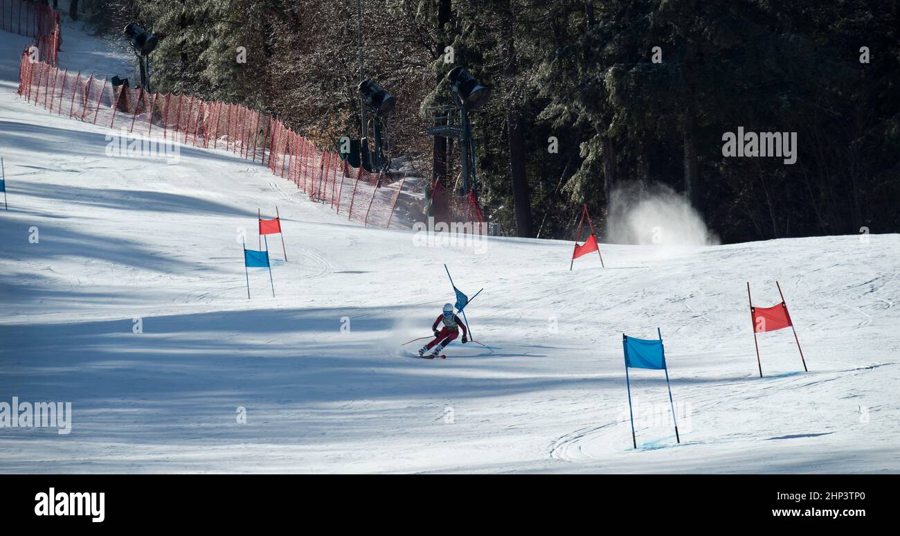 Young female ski racer on course during the 2022 Macomber Giant Slalom ski race at Crotched Mountain Ski area in Bennington, New Hampshire, USA. Stock Photo