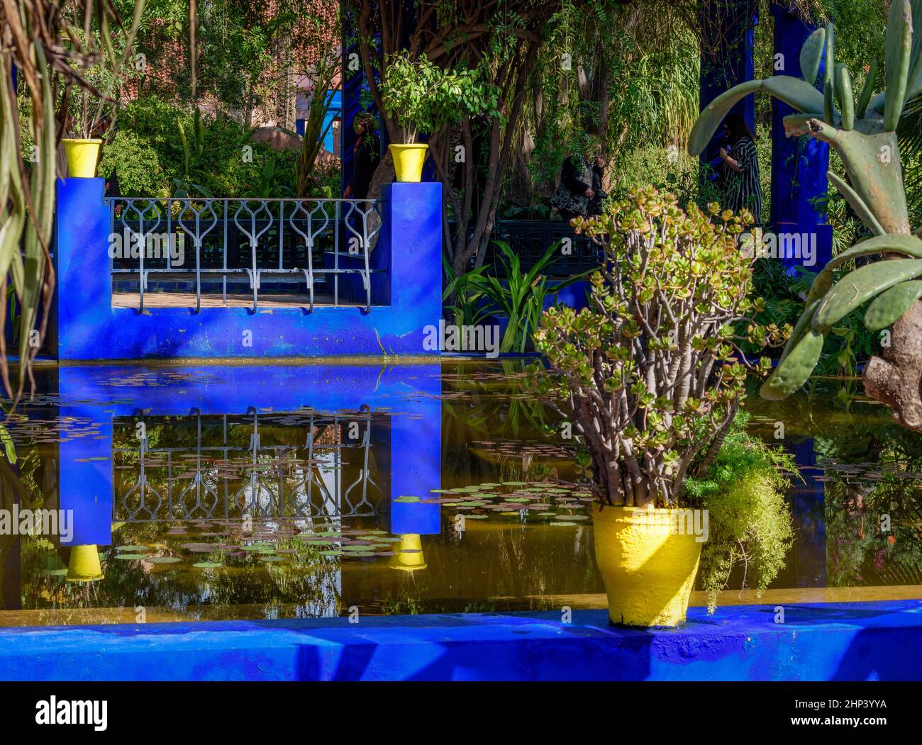 MOROCCO MARRAKESH THE MAJORELLE GARDEN حديقة ماجوريل WITH COBALT BLUE WALLS AND BRIGHT YELLOW POTS Stock Photo