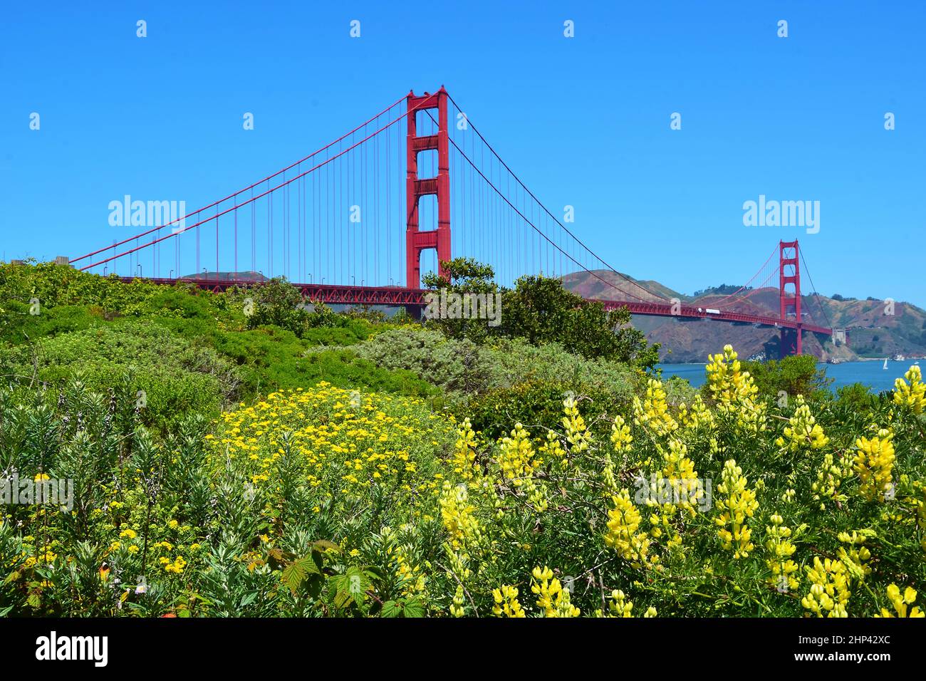 Golden Gate Bridge in San Francisco, California Stock Photo