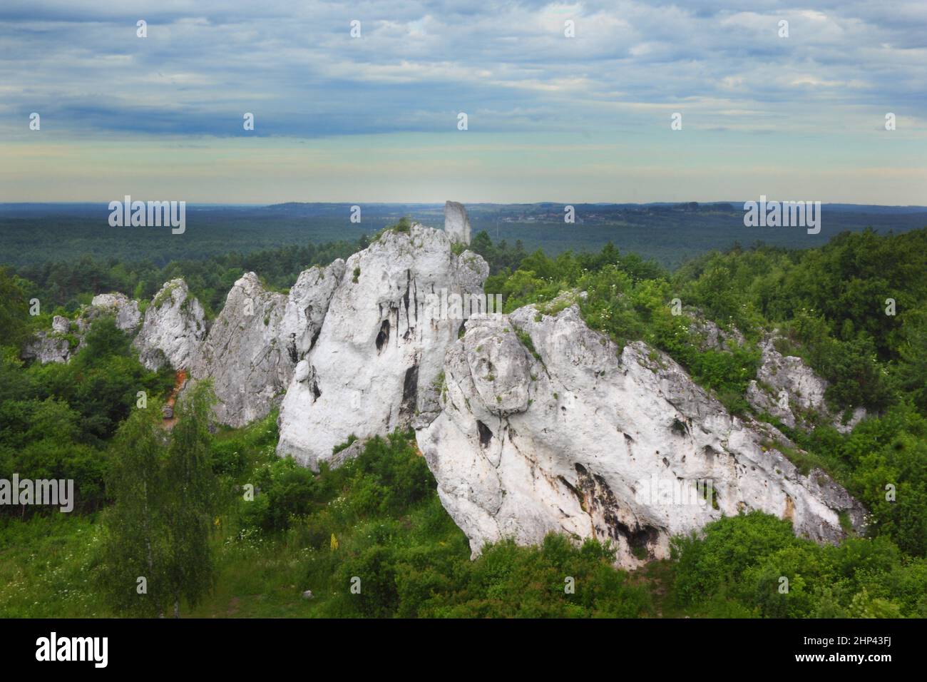 Famous rock climbing rocks in Rzedkowice, Jura KrakowskoCzestochowska Upland, Poland Stock