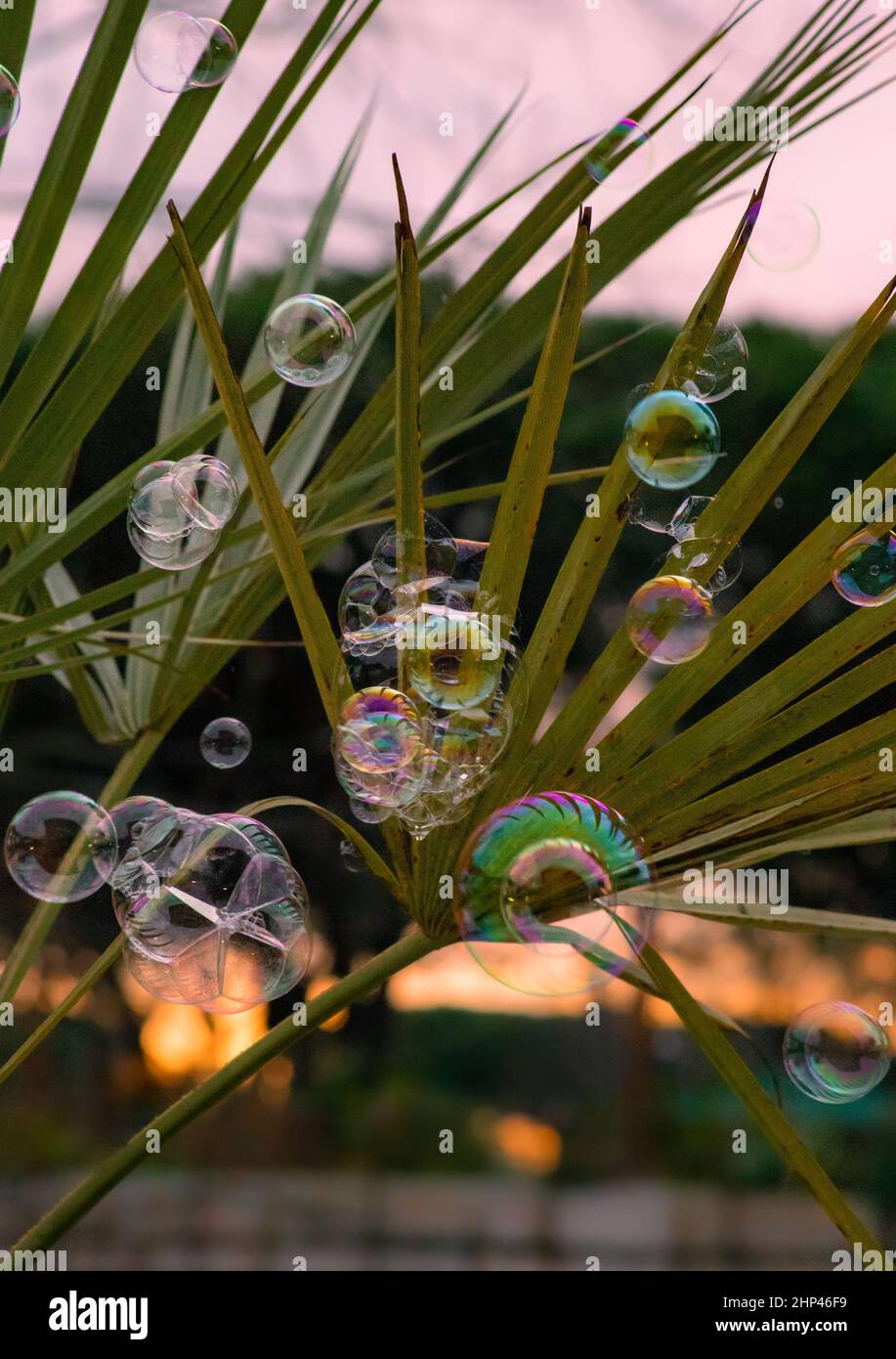 Soap bubble Stock Photo