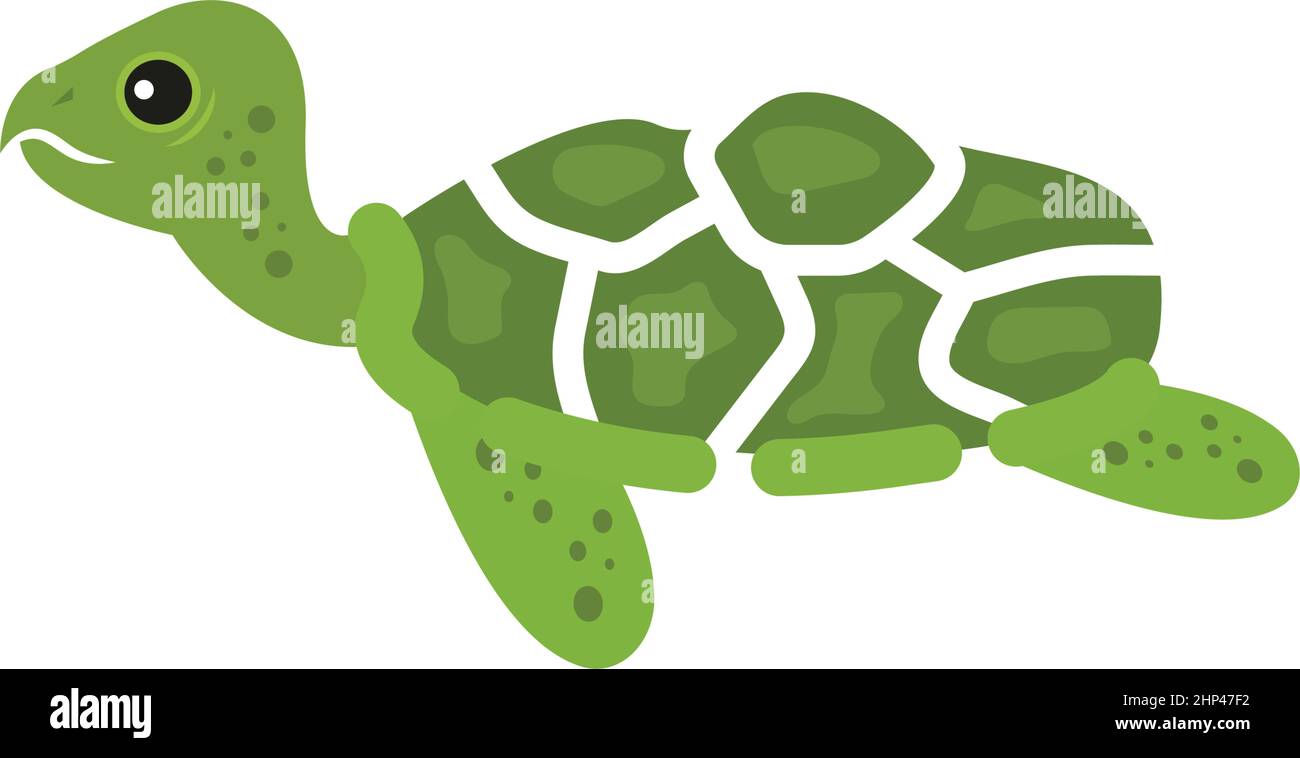 turtle icon vector illustration Stock Vector