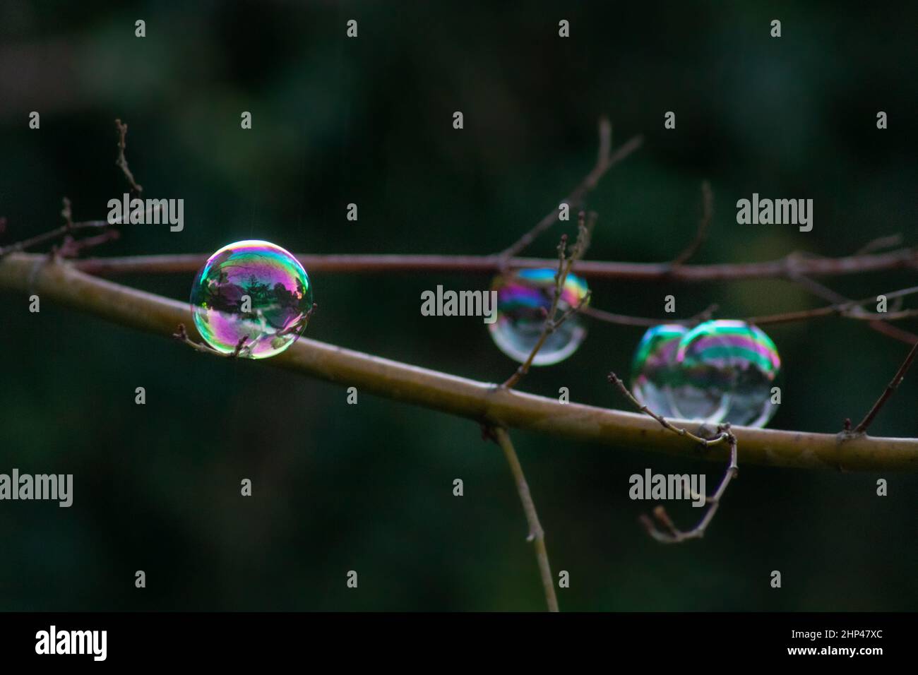 Soap bubble Stock Photo