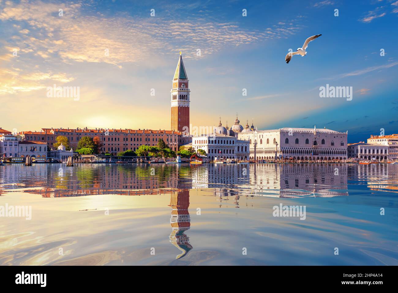 Seagull flies by San Marco and Doge's Palace at sunset, Venice, Italy. Stock Photo