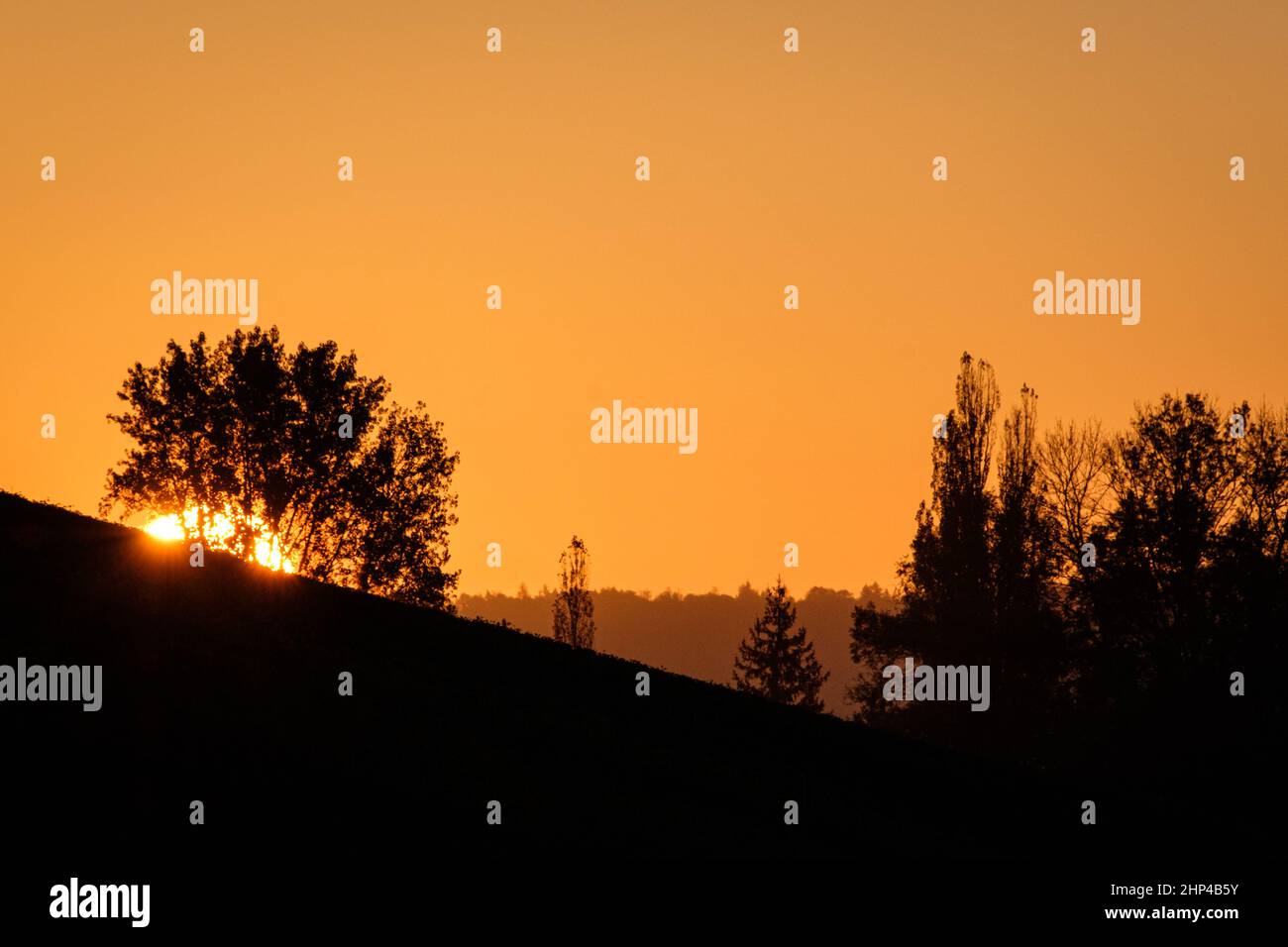 Sunrise in german landscape with trees back lit Stock Photo