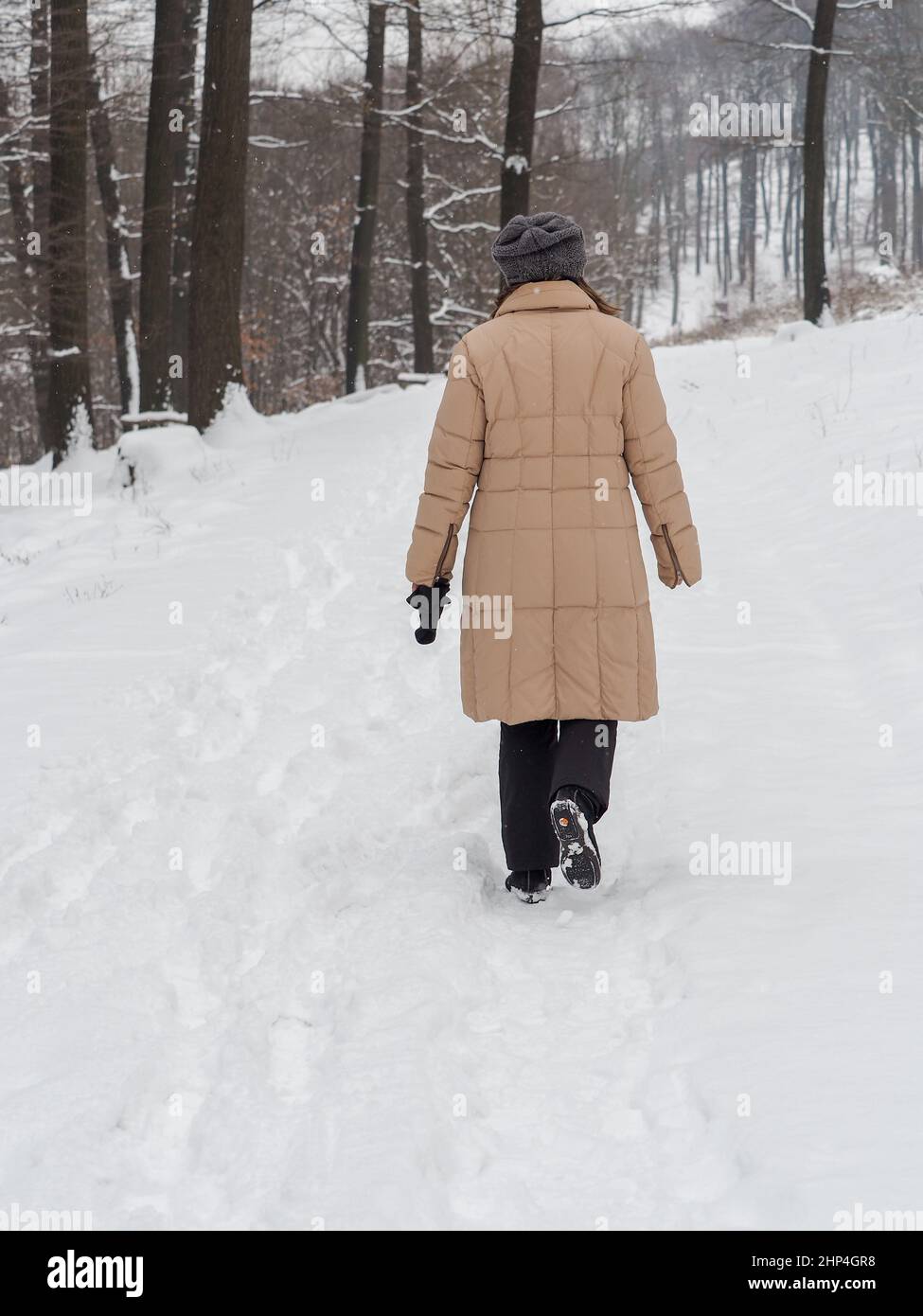 A woman in a long beige down coat goes for a walk in the freshly snow-covered forest. Stock Photo