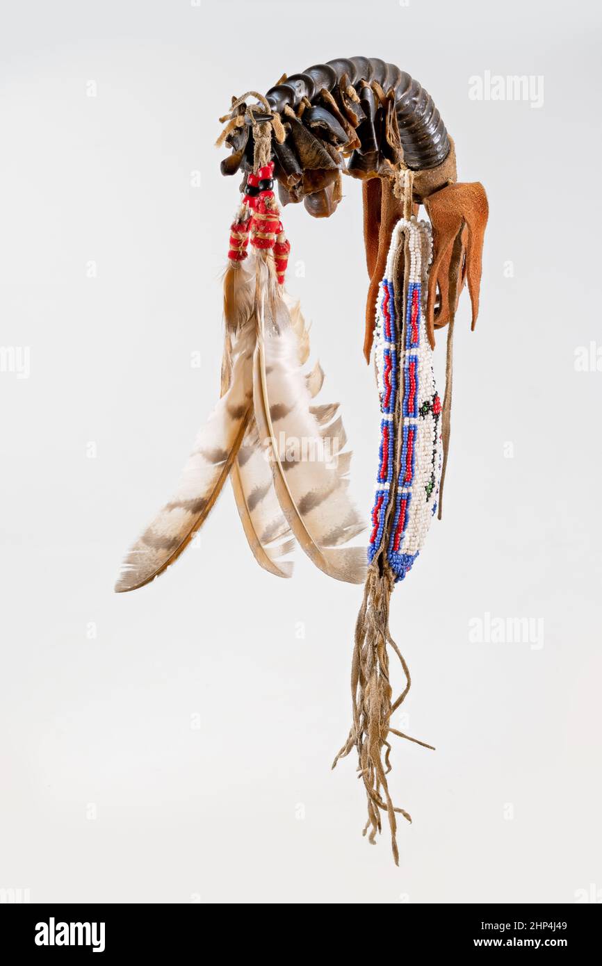 Dance rattle of the North American Indian horn with deer hooves and ...