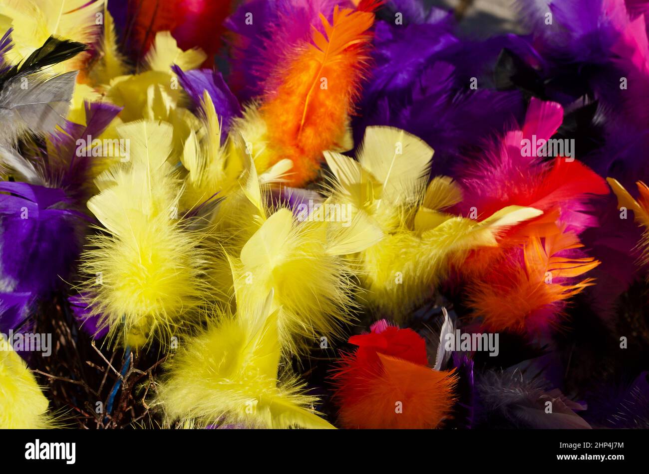 Birch twigs with feathers in yellow and other colors as decoration ...