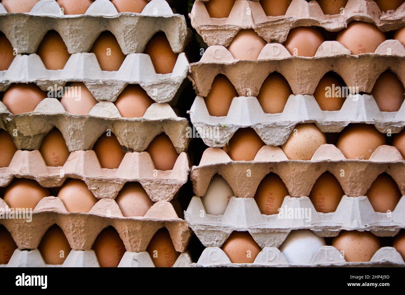Stack with fresh chicken eggs in egg cartons for sale at farmers market