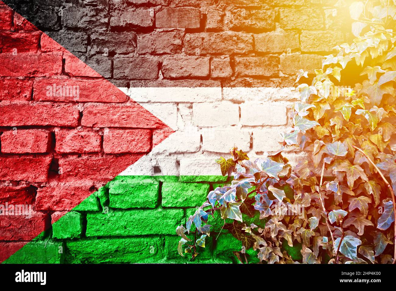 Palestine grunge flag on brick wall with ivy plant sun haze view, country symbol concept Stock Photo