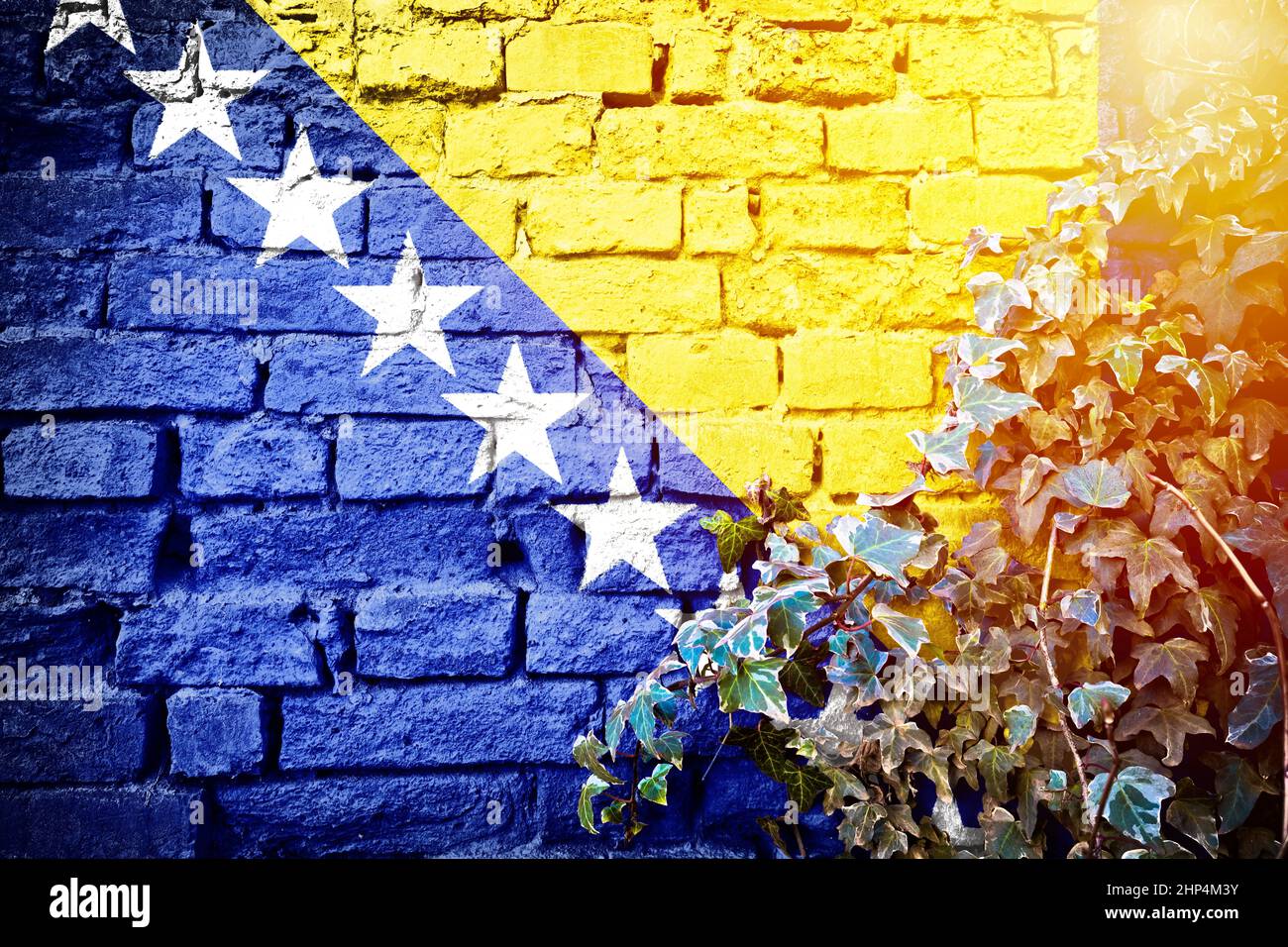 Bosnia And Herzegovina grunge flag on brick wall with ivy plantsun haze view, country symbol concept Stock Photo
