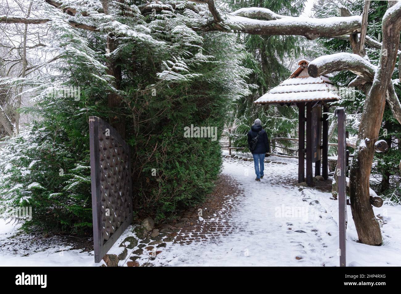 A man walks along a path in a park in winter, rear view. Stock Photo