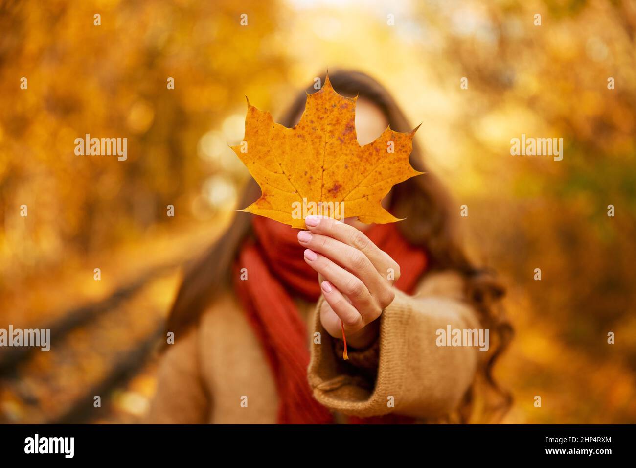 Autumn portrait of beautiful happy smiling woman cover eye with gold ...