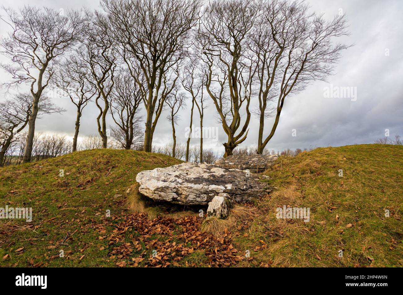 Minninglow is an archaeologhical site in the Peak District National Park, UK. It consists of a chambered tomb and Bronze Age bowl barrows. Stock Photo