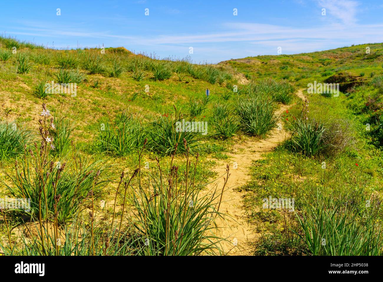 Beeri hi-res stock photography and images - Alamy