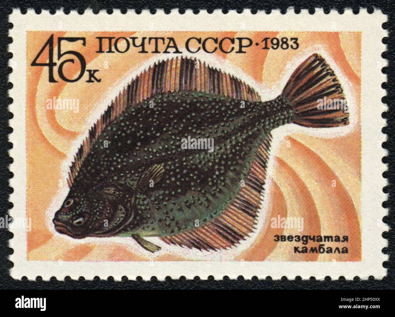 A postage stamp with image of Flatfish Starry flounder (Platichthys stellatus), USSR, 1983 Stock Photo