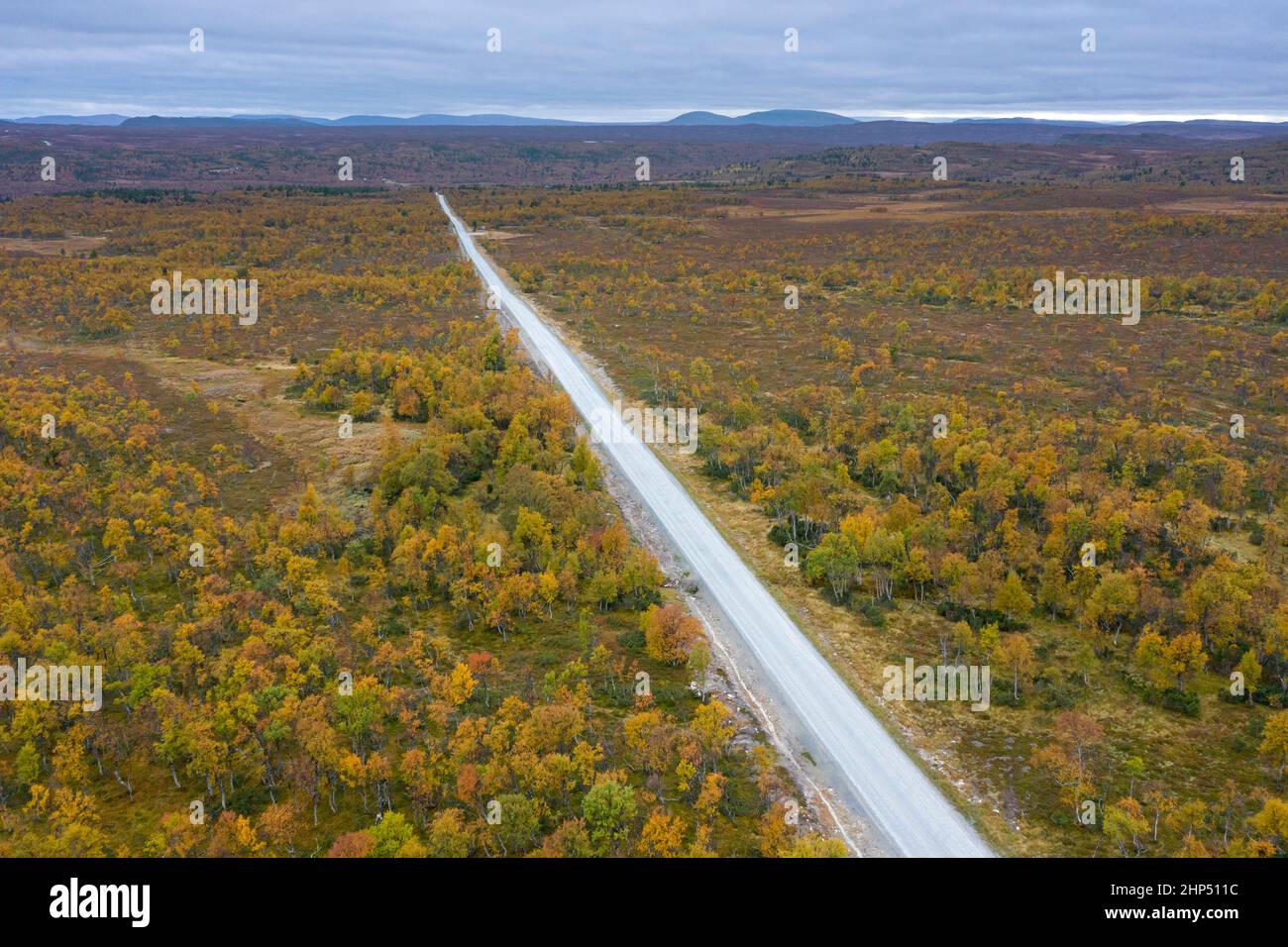 Aerial view over empty desolate road running through the taiga in autumn / fall, Härjedalen, Norrland, Sweden Stock Photo