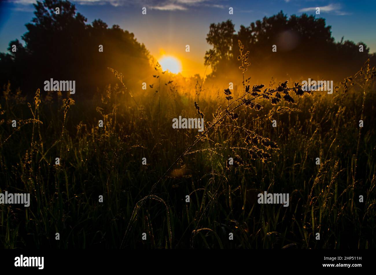 Thick morning fog covers hi-res stock photography and images - Alamy