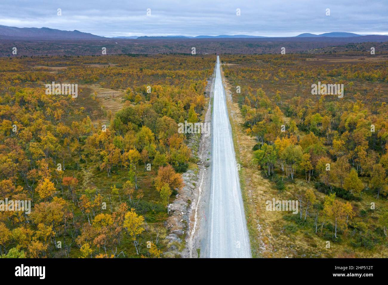 Aerial view over empty desolate road running through the taiga in autumn / fall, Härjedalen, Norrland, Sweden Stock Photo