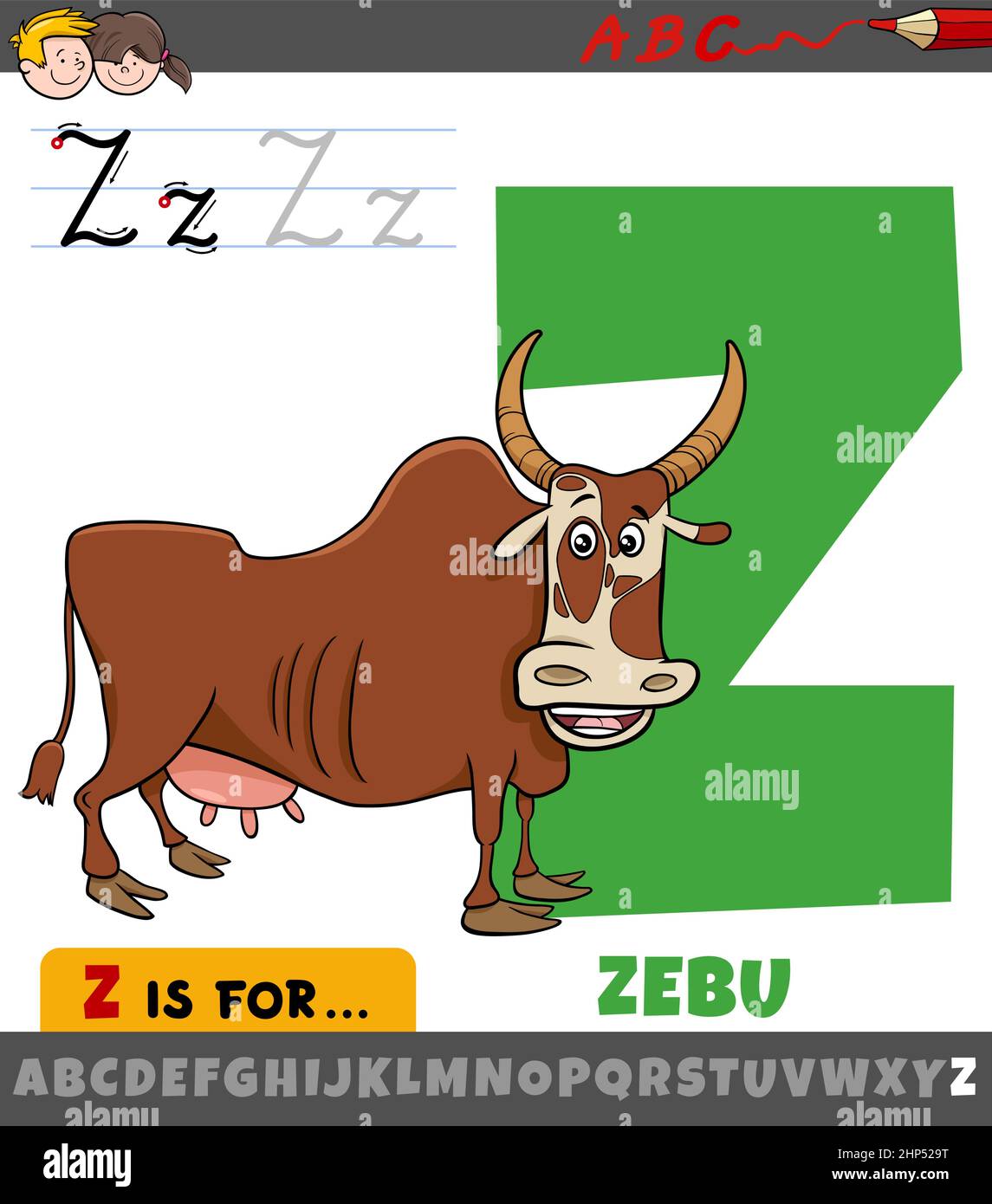 letter Z from alphabet with cartoon zebu animal character Stock Vector