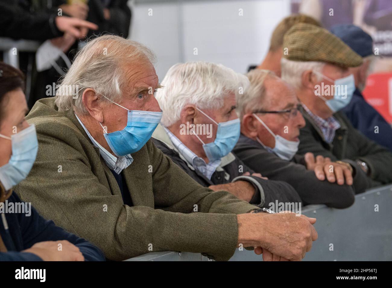 Farmers at Darlington auction mart during the Covid-19 pandemic, wearing face masks. England, UK. Stock Photo