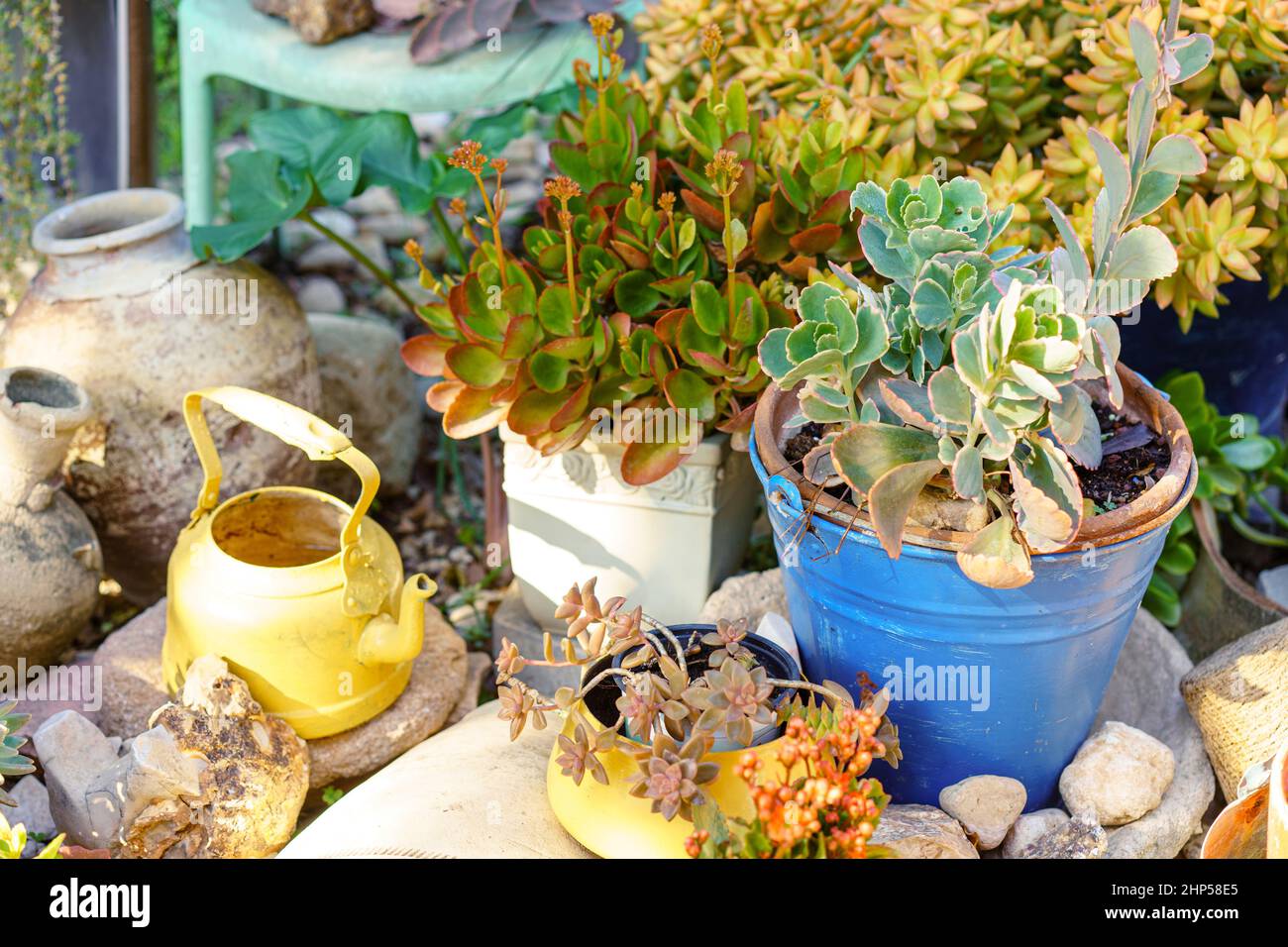 Reusable flower vases hires stock photography and images Alamy