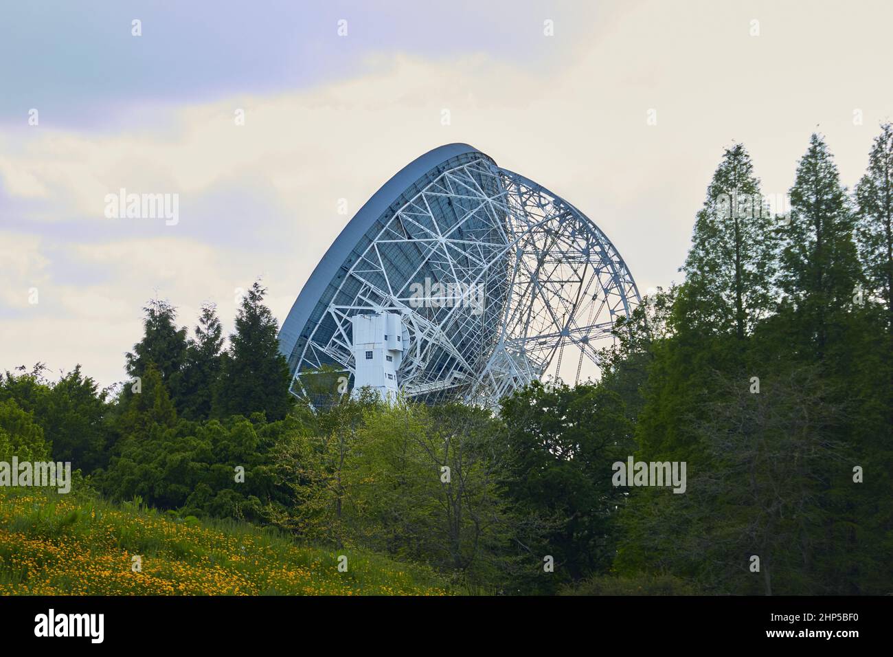 Lovell Radio Telescope over the trees at Jodrell Bank Stock Photo