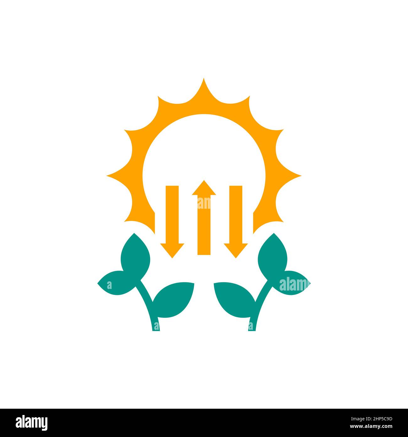photosynthesis icon with a sun and plant Stock Vector Image & Art - Alamy