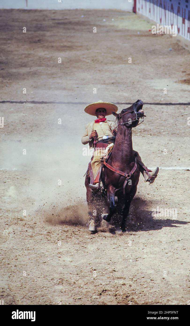 Charreada hi-res stock photography and images - Alamy